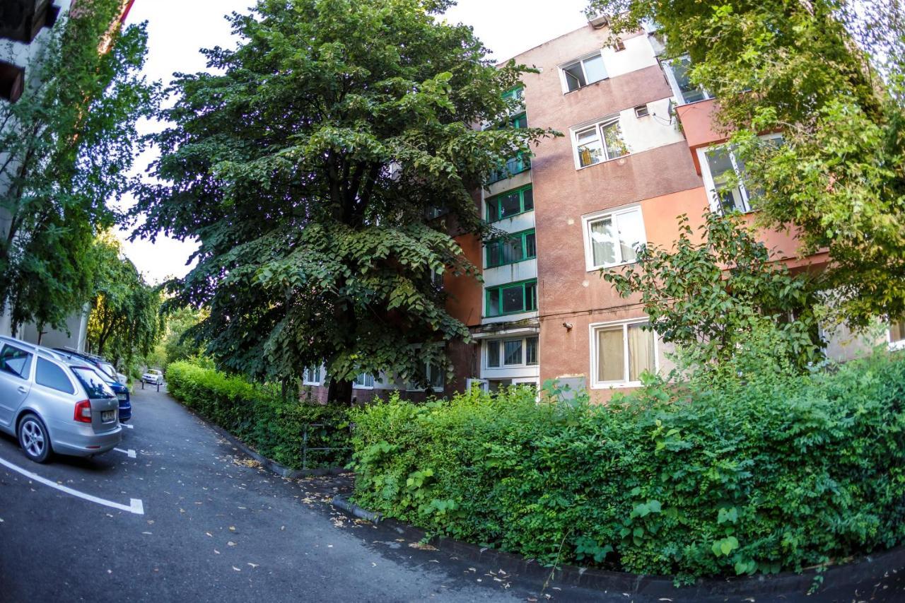 Apartament Modern Rivulus Baia Mare Exterior foto